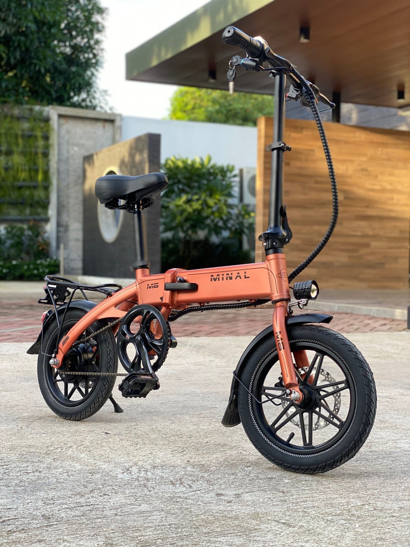 Folding Bike